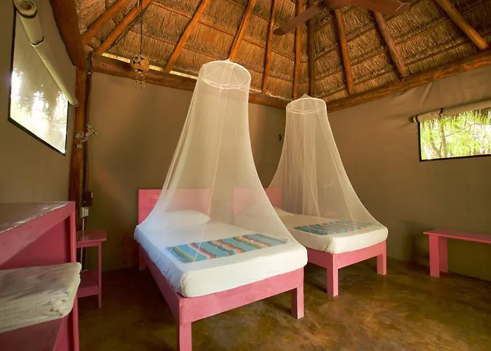 Joy - Adults Only. Tulum