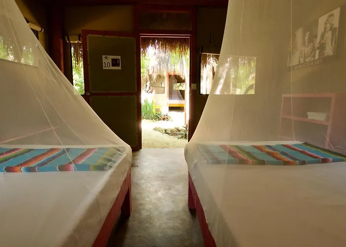 Joy - Adults Only. Lodge Tulum