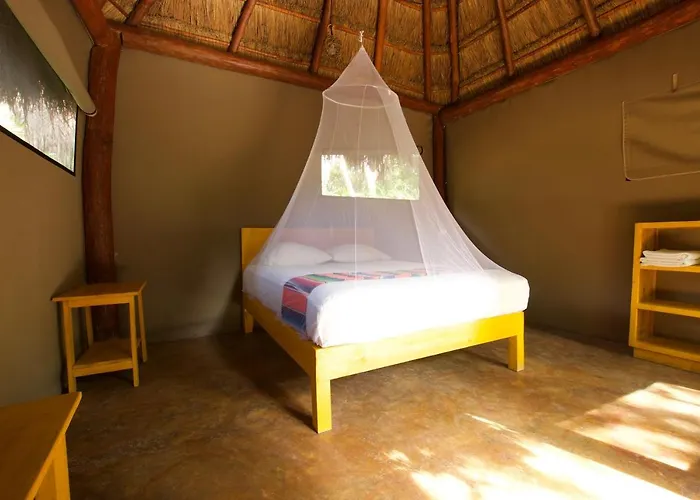 Joy - Adults Only. Tulum